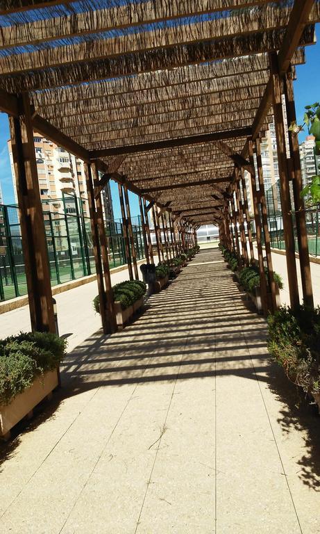 Apartment Carmentxu Gemelos 26 Benidorm Rom bilde