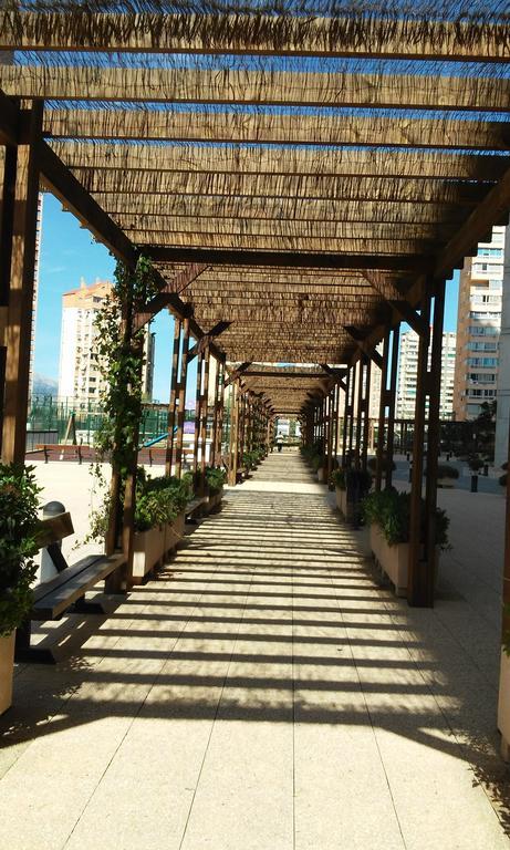 Apartment Carmentxu Gemelos 26 Benidorm Rom bilde